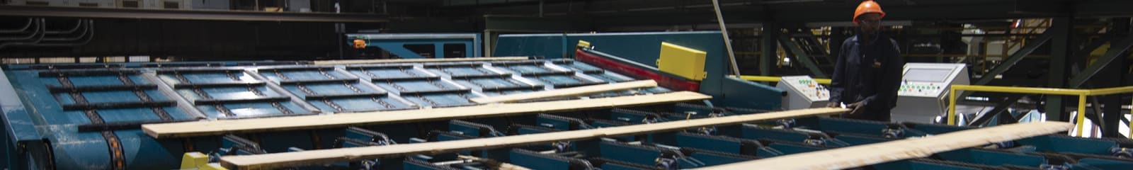 Lico Machinery ADM / ADMS Series optimized board edger systems, installed in a production plant