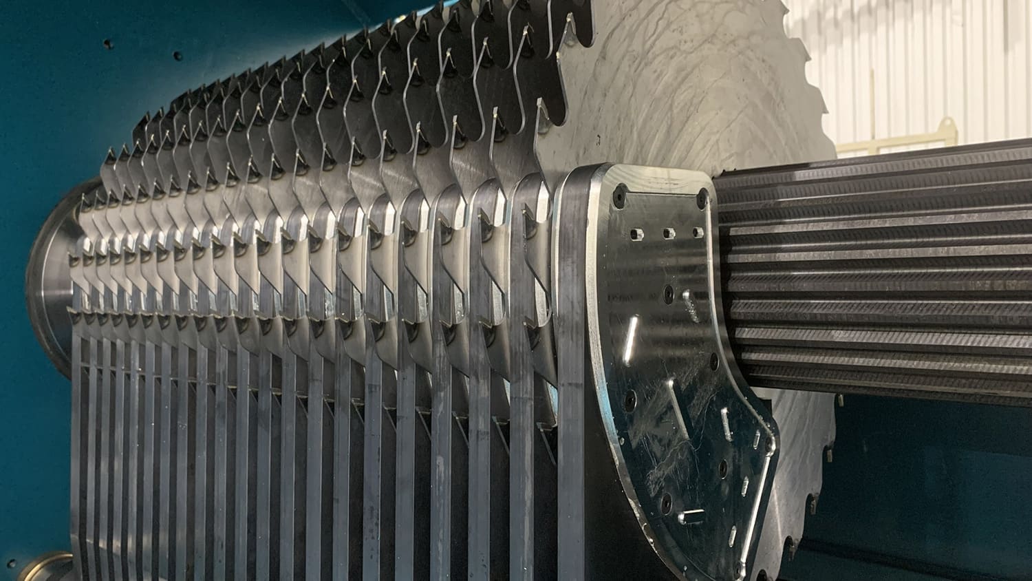 Lico Machinery DEB Series optimized gang edgers, installed line, wide view
